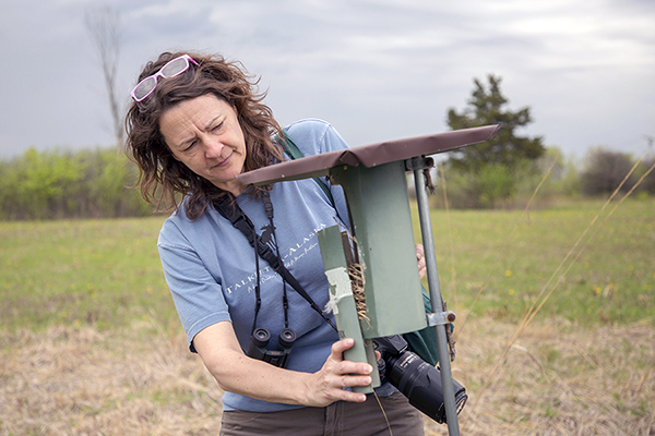 volunteer-natural-resources-bluebird-monitor-check-box-600-400